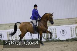 25R13_13948 proof