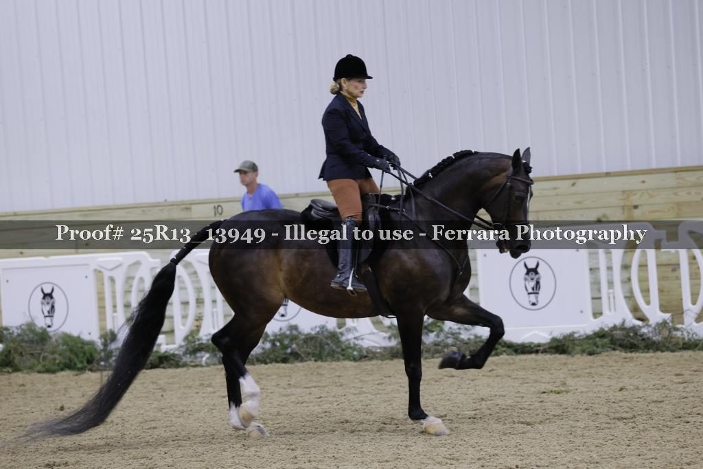 Proof 25R13_13949