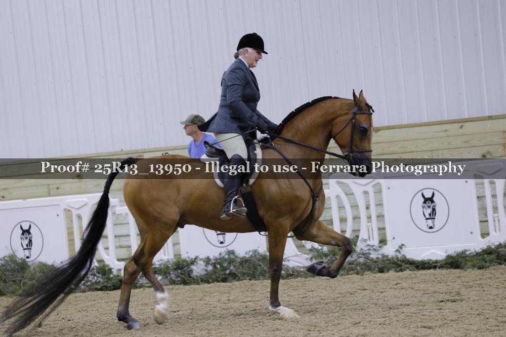 Proof 25R13_13950
