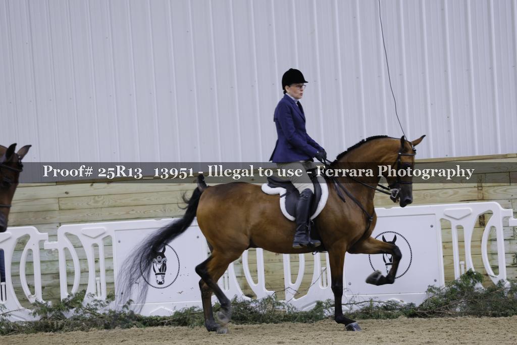 Proof 25R13_13951