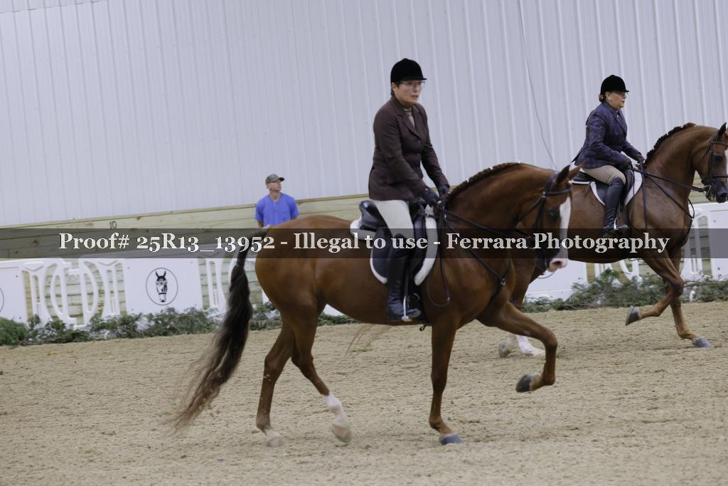 Proof 25R13_13952
