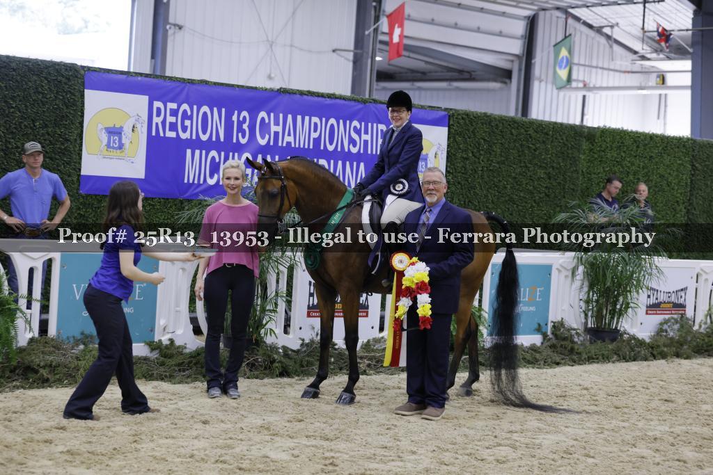 Proof 25R13_13953