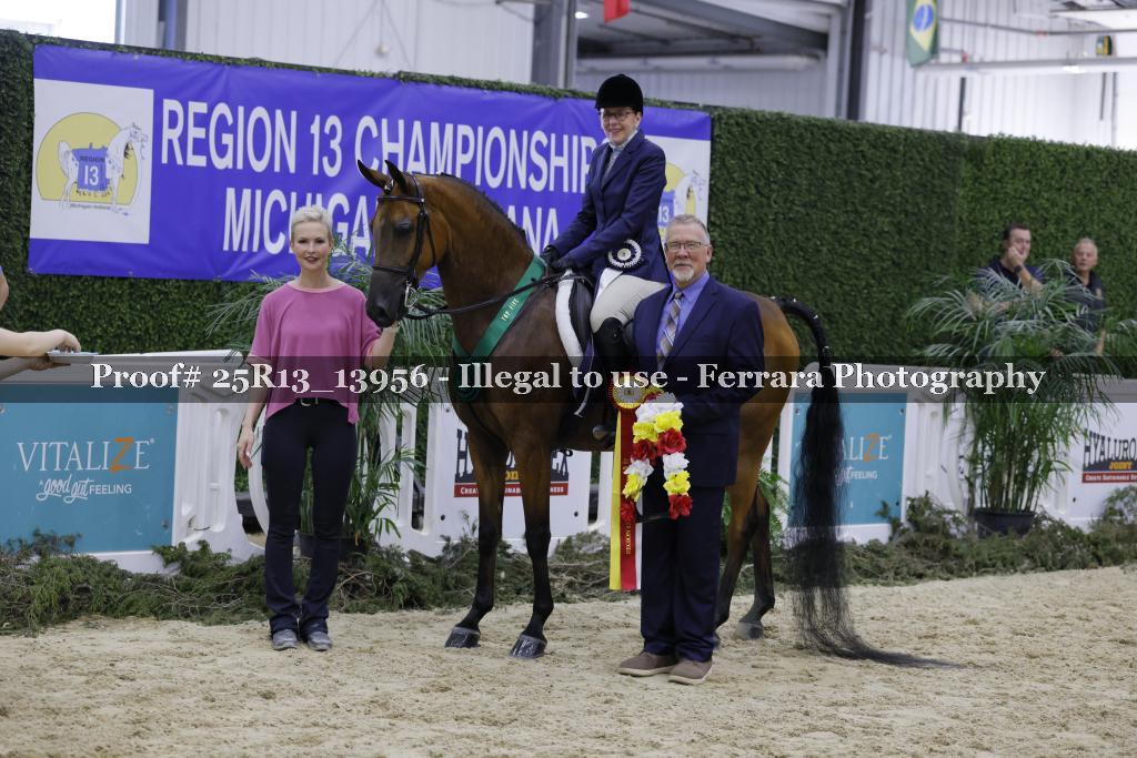 Proof 25R13_13956