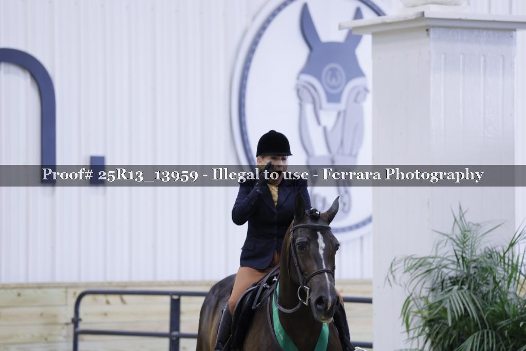 Proof 25R13_13959
