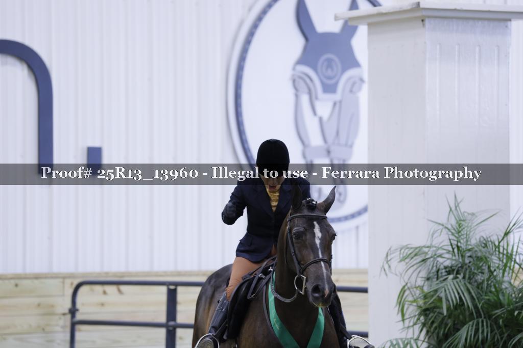 Proof 25R13_13960