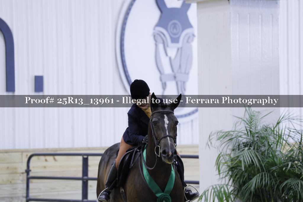 Proof 25R13_13961