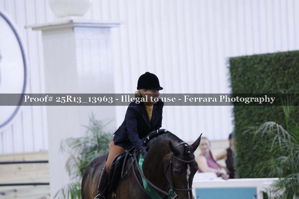 Proof 25R13_13963