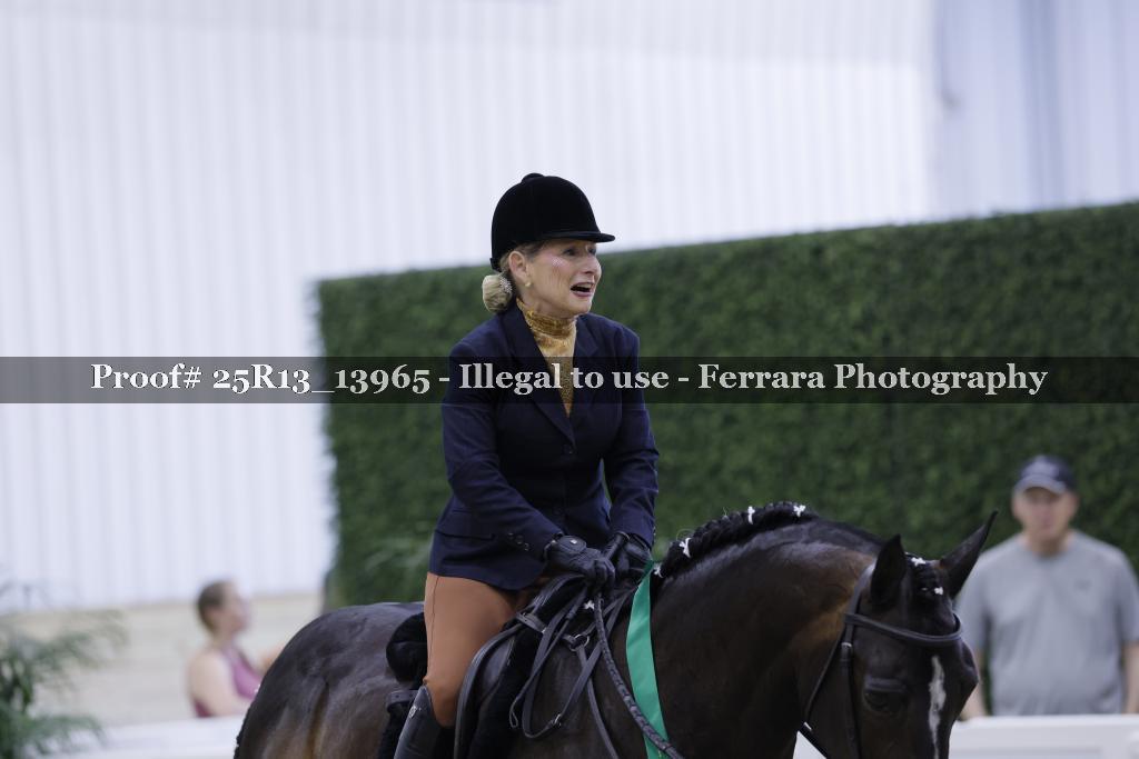 Proof 25R13_13965