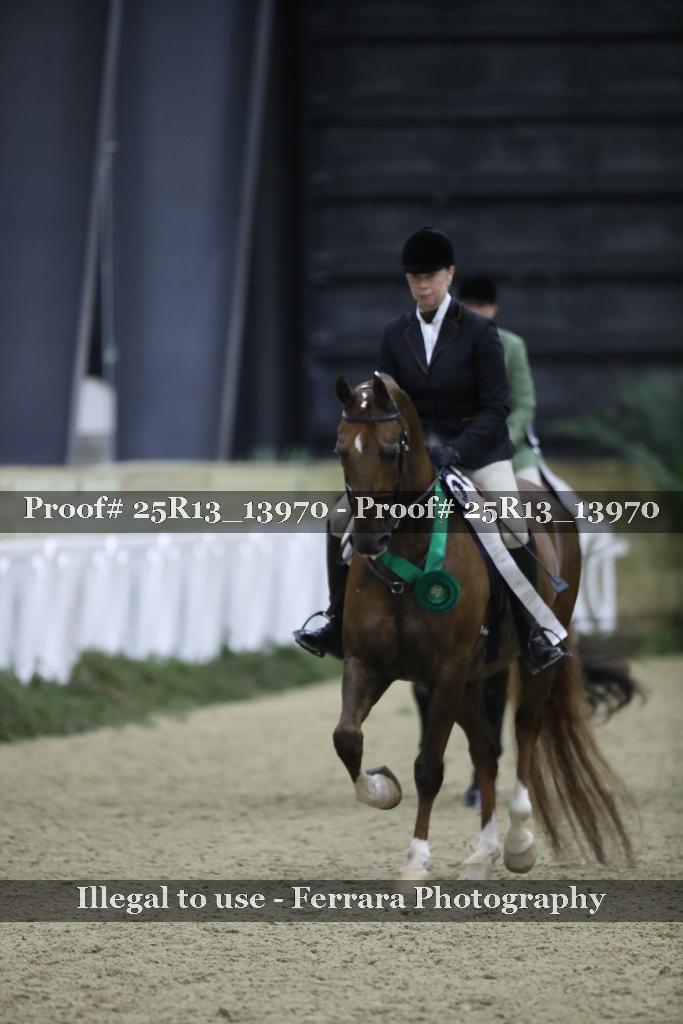 Proof 25R13_13970