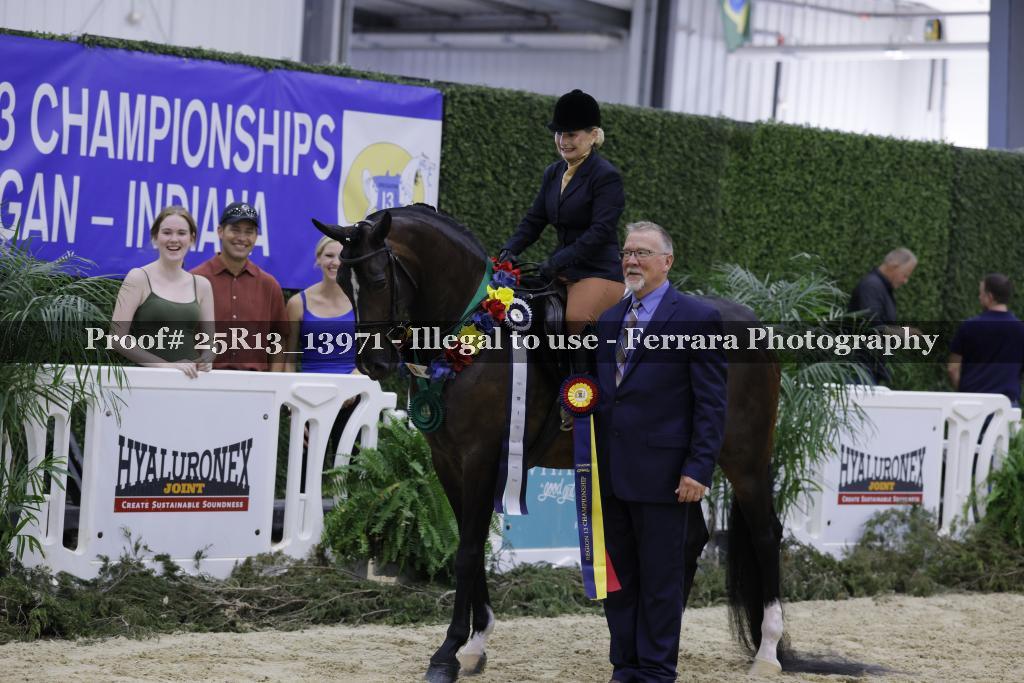 Proof 25R13_13971