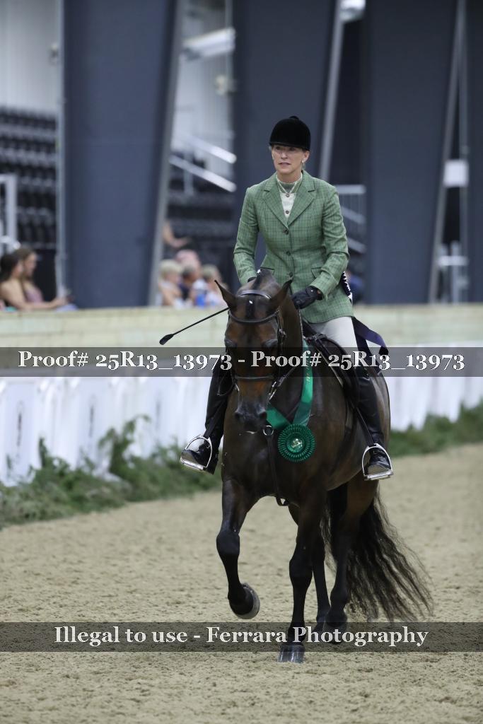 Proof 25R13_13973