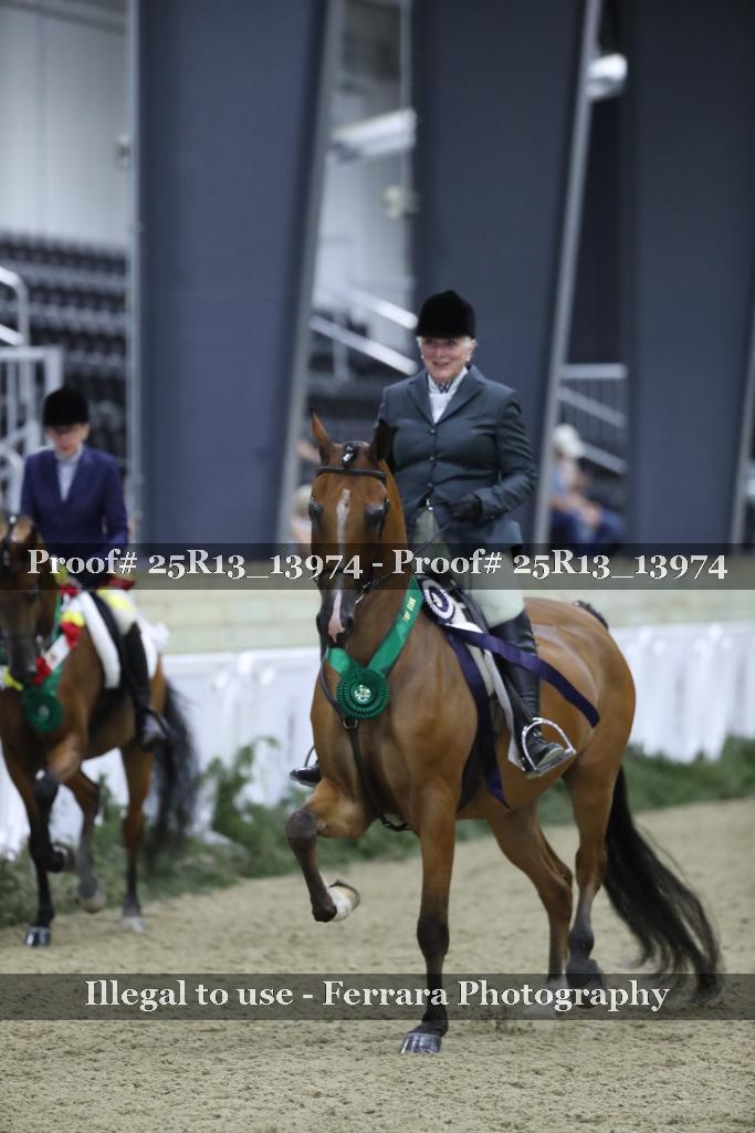 Proof 25R13_13974