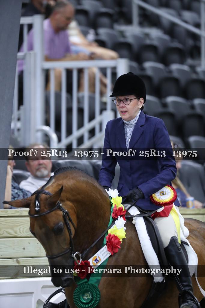 Proof 25R13_13975