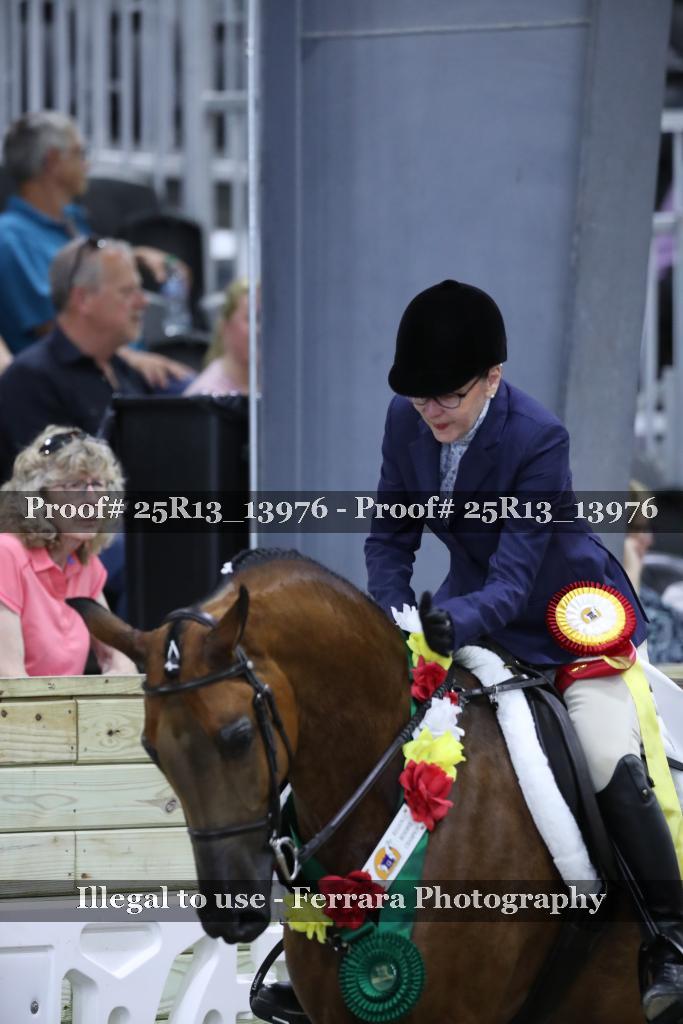 Proof 25R13_13976
