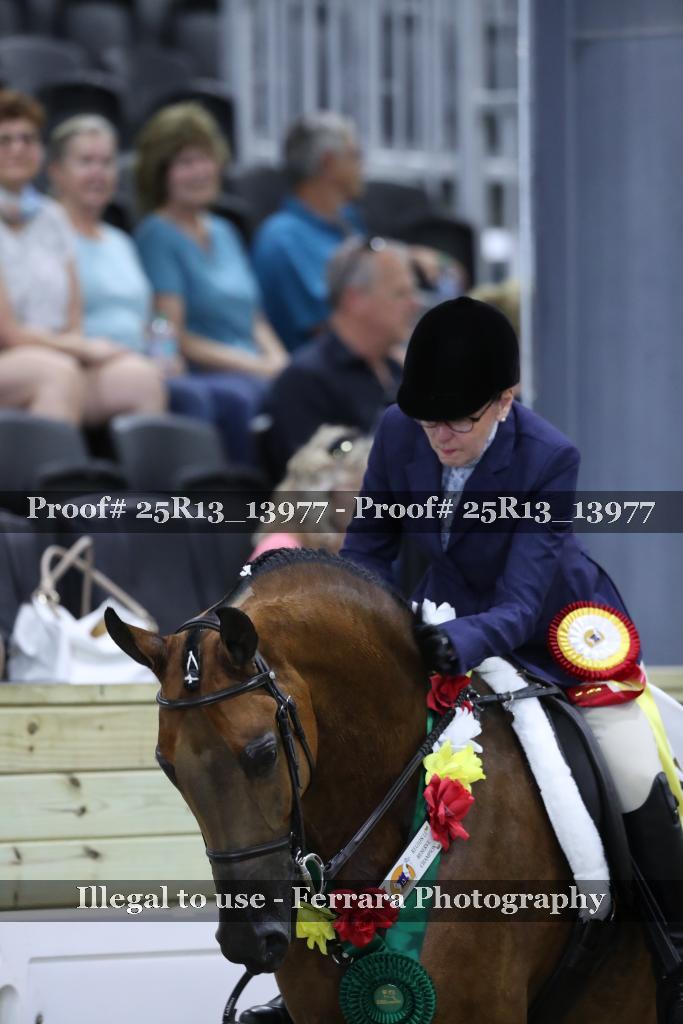 Proof 25R13_13977