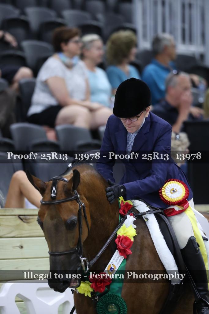 Proof 25R13_13978