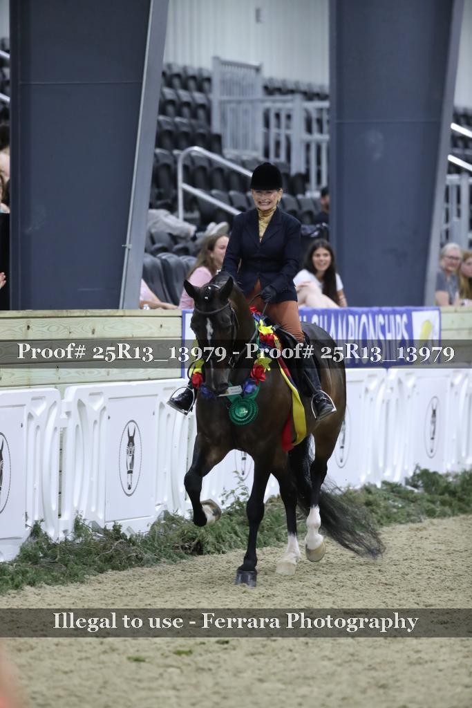 Proof 25R13_13979