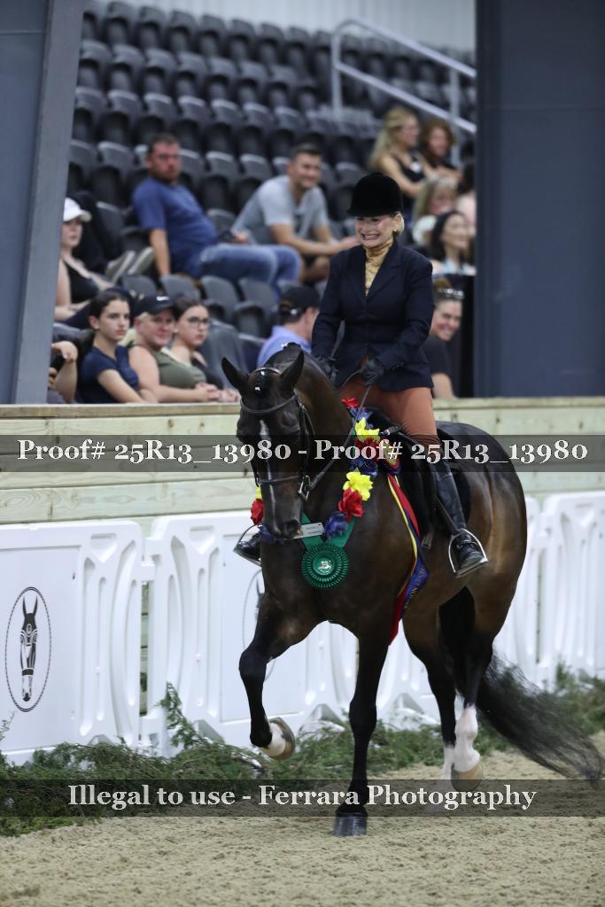 Proof 25R13_13980