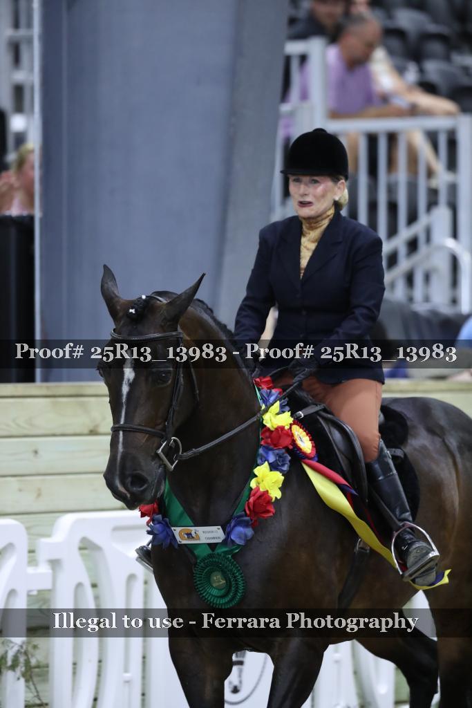 Proof 25R13_13983