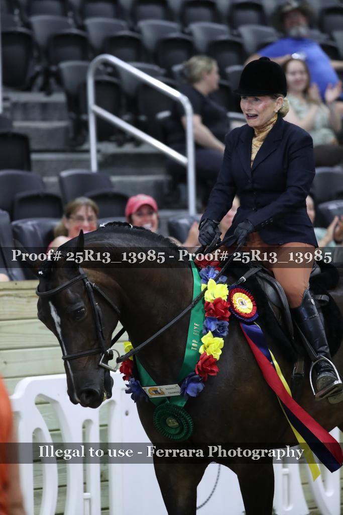 Proof 25R13_13985