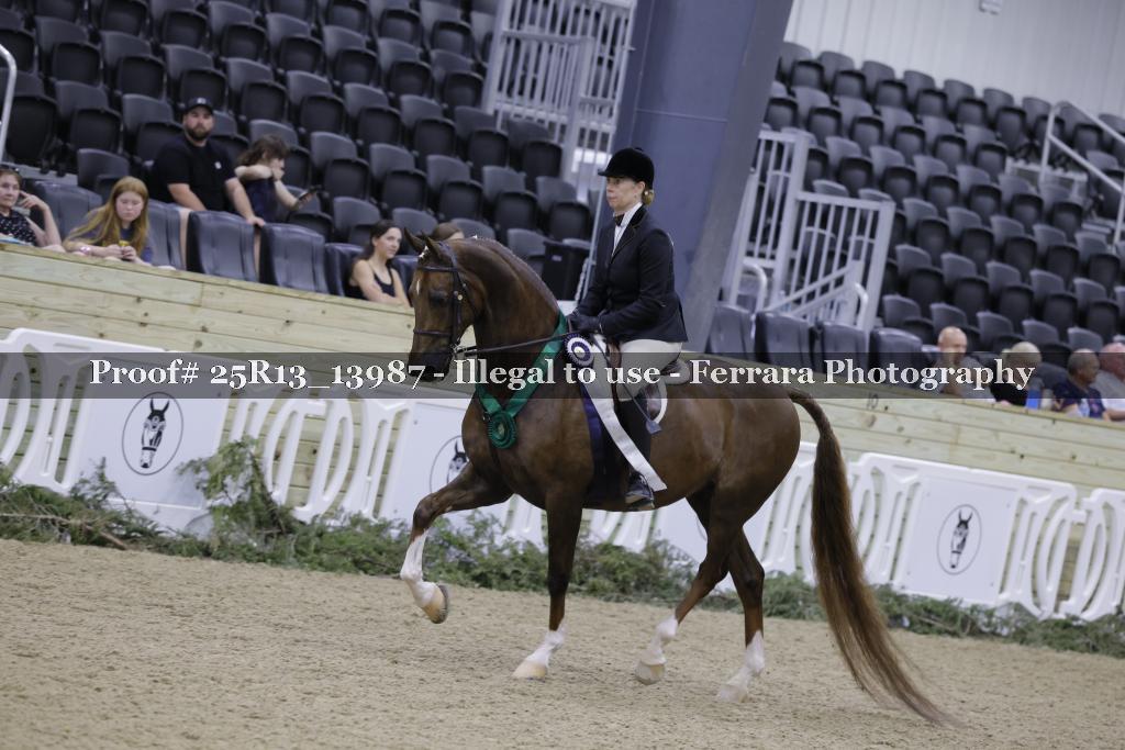 Proof 25R13_13987