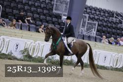 25R13_13987 proof