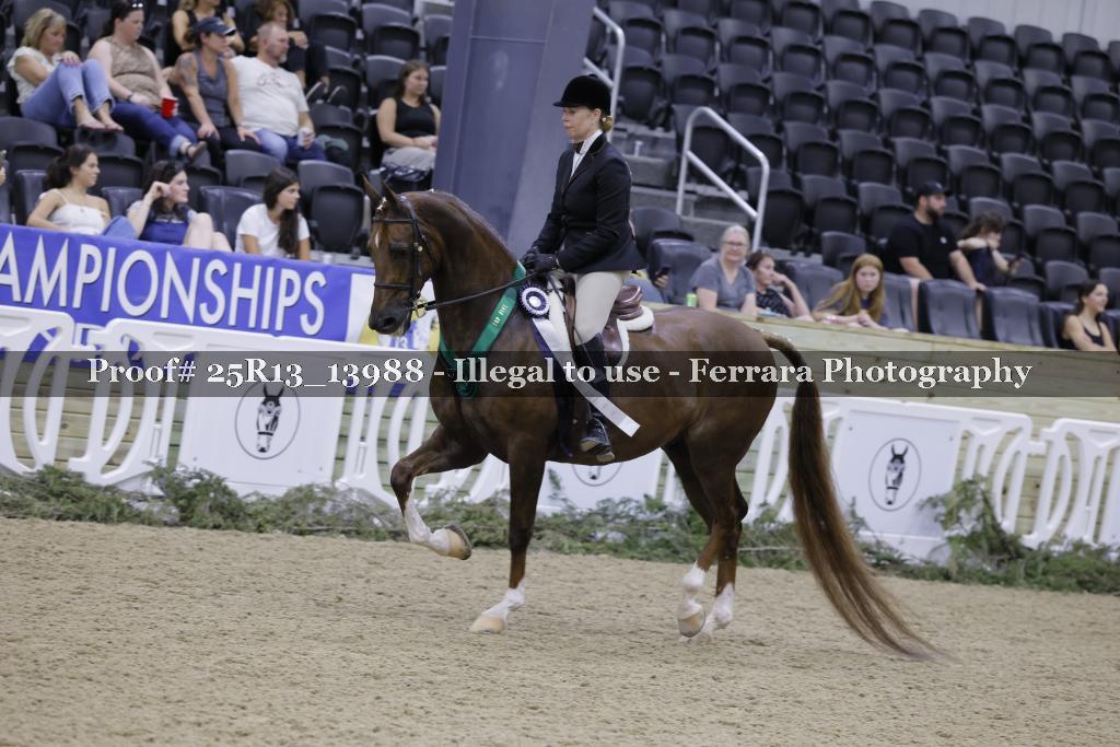 Proof 25R13_13988