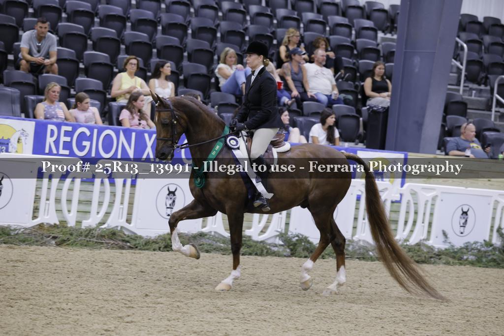 Proof 25R13_13991
