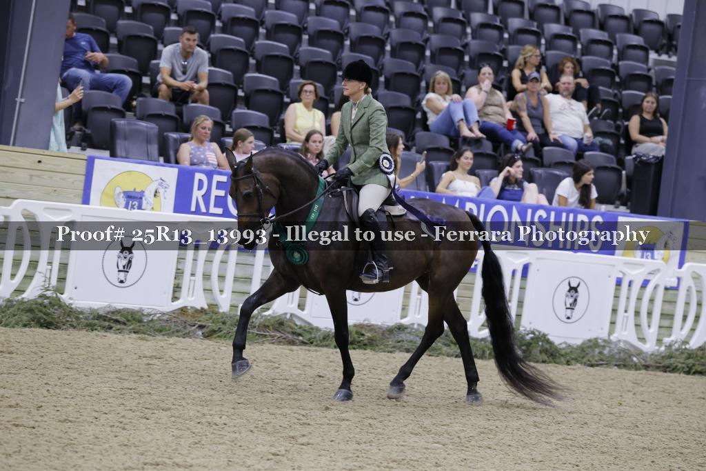 Proof 25R13_13993