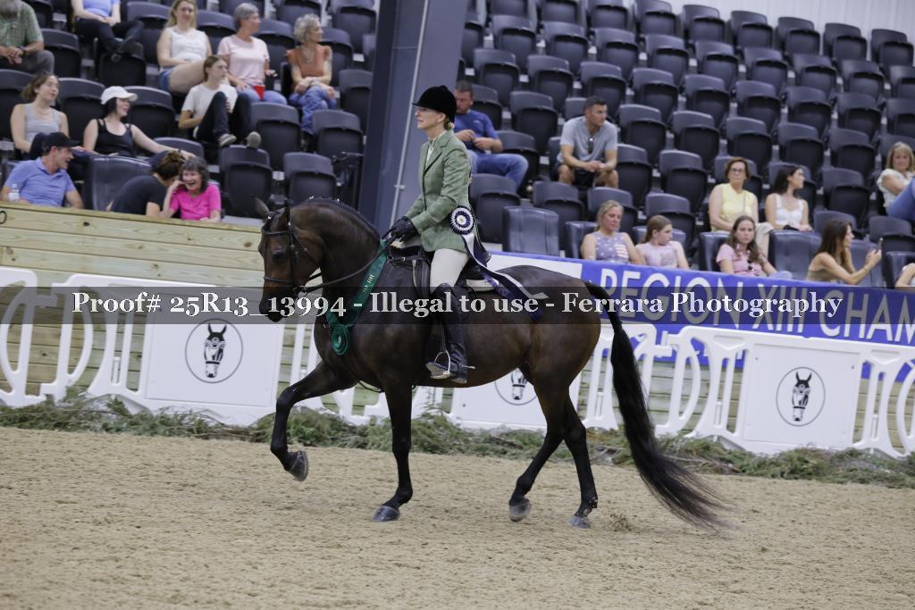 Proof 25R13_13994