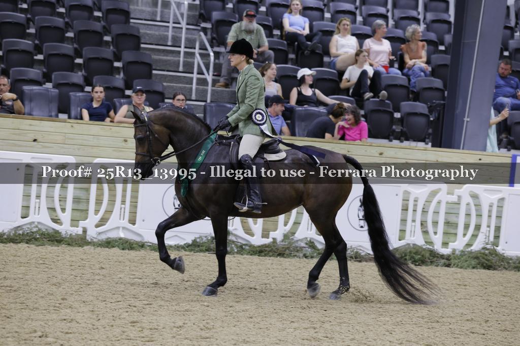 Proof 25R13_13995