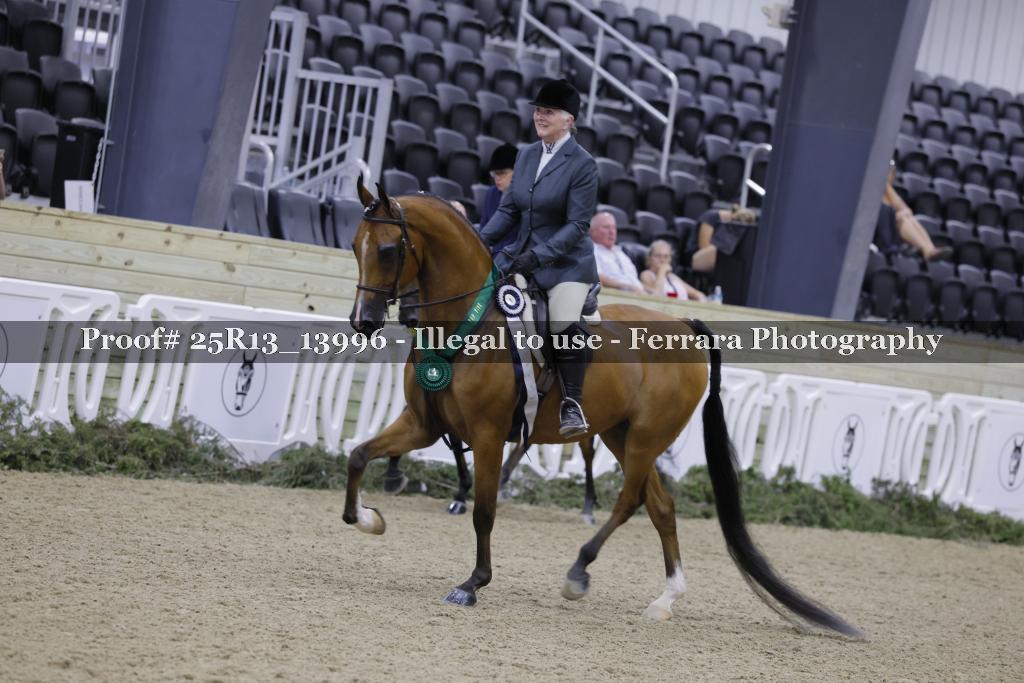 Proof 25R13_13996