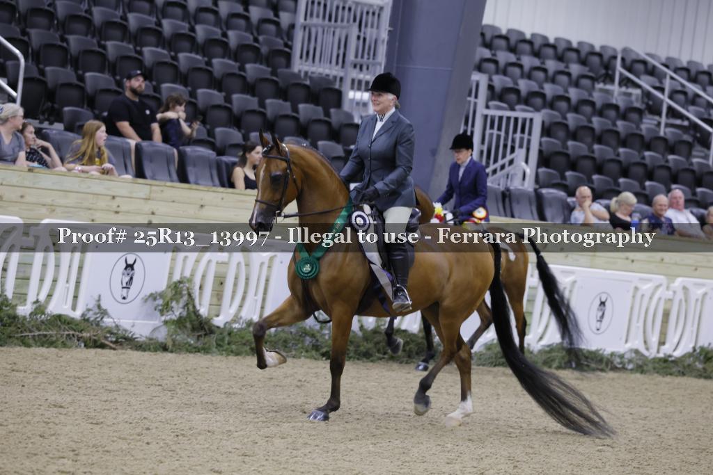 Proof 25R13_13997