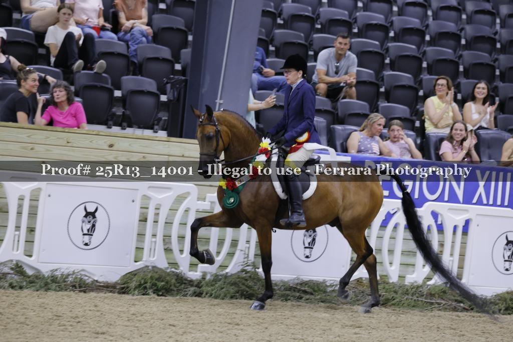 Proof 25R13_14001