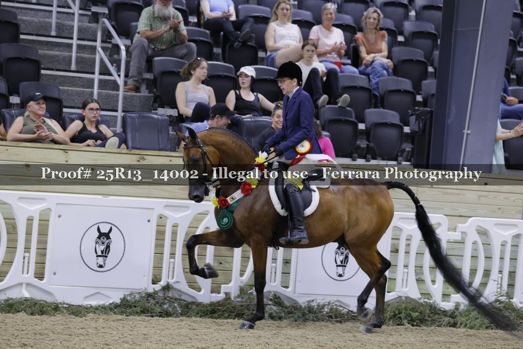 Proof 25R13_14002