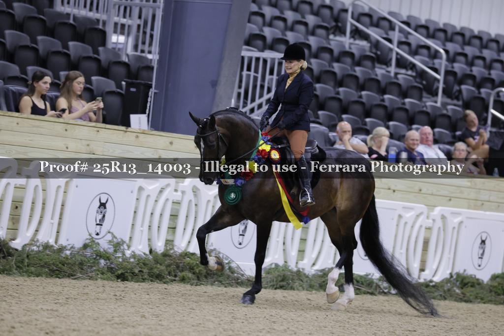 Proof 25R13_14003