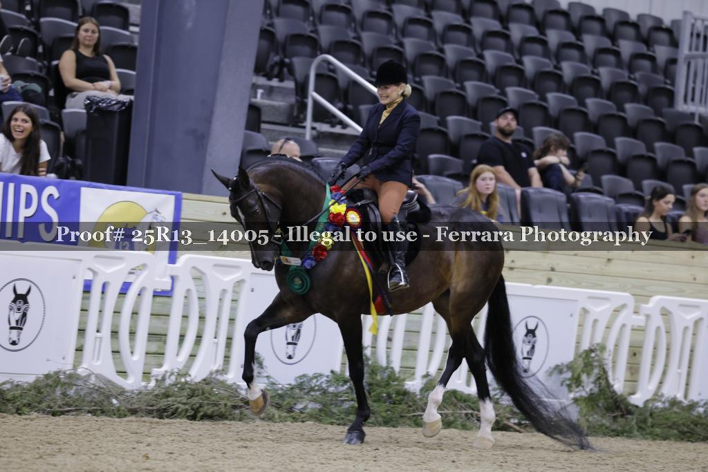 Proof 25R13_14005