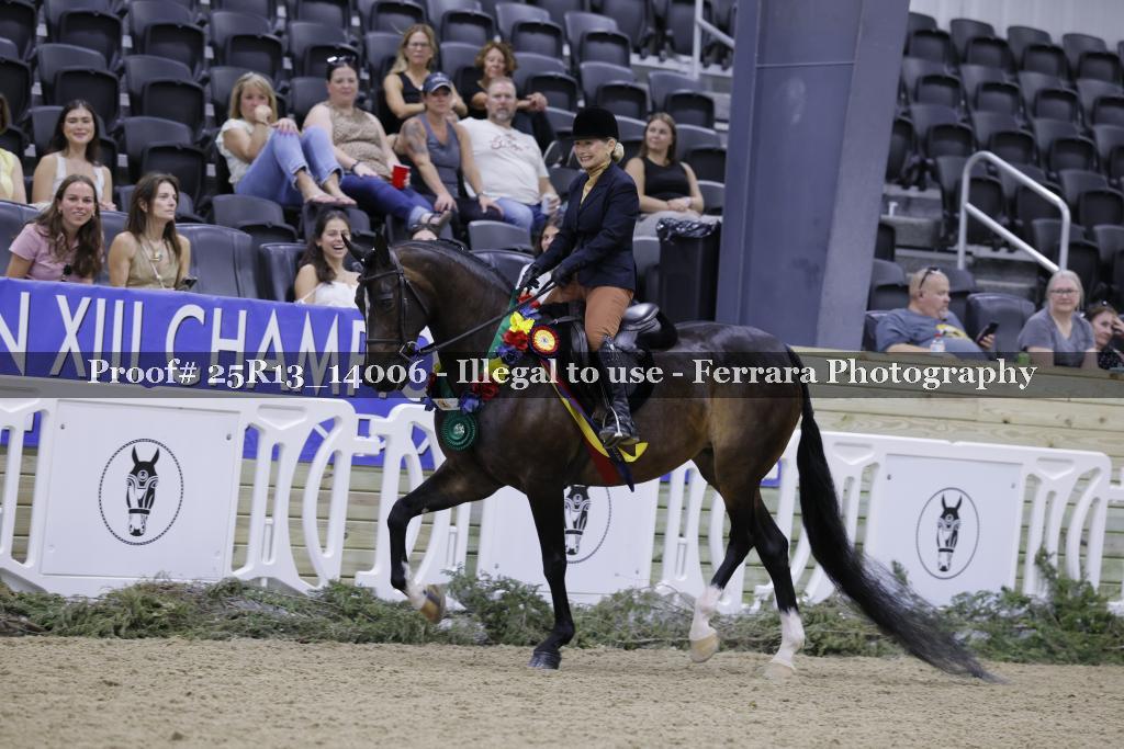 Proof 25R13_14006