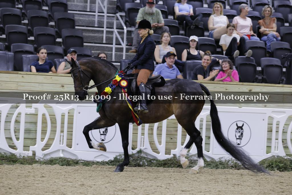 Proof 25R13_14009