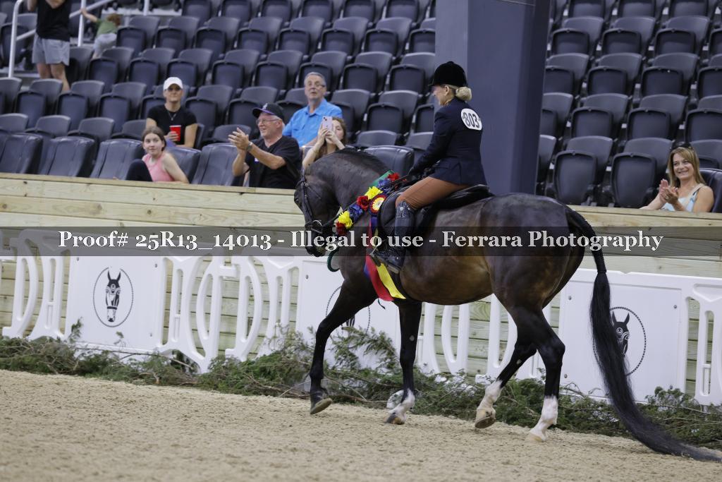 Proof 25R13_14013