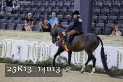 25R13_14013 proof