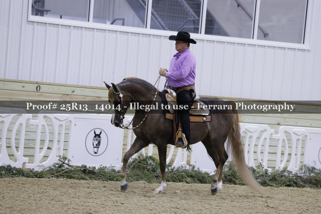 Proof 25R13_14014