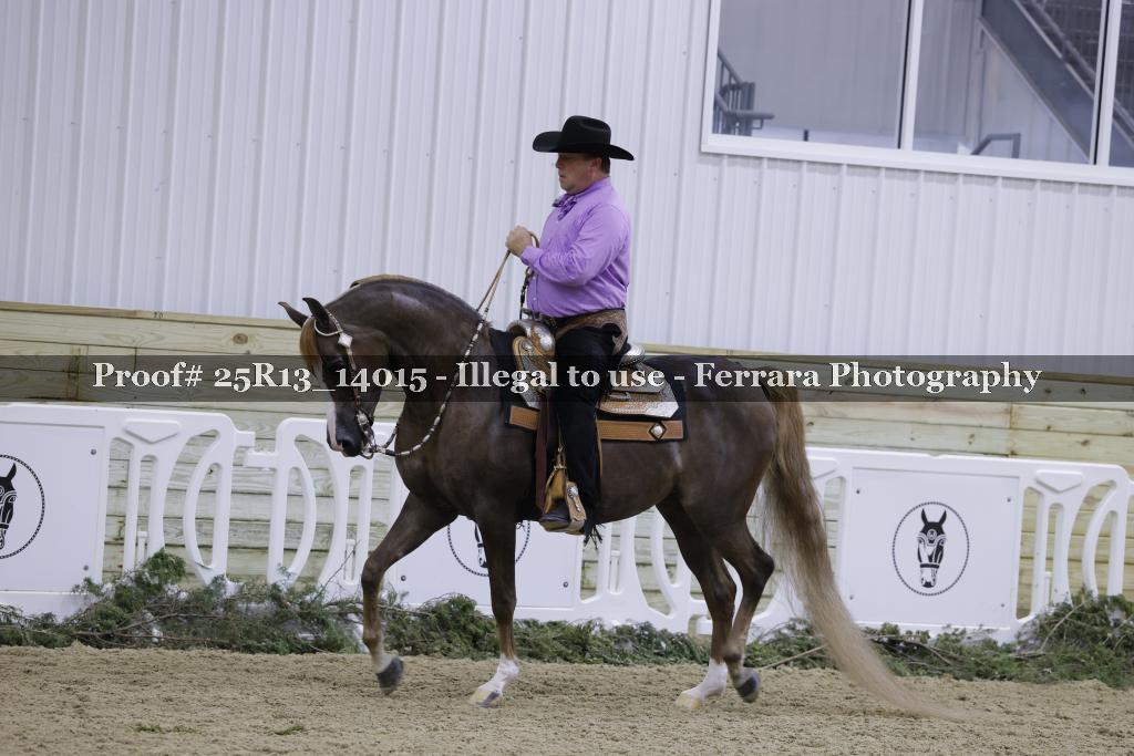 Proof 25R13_14015