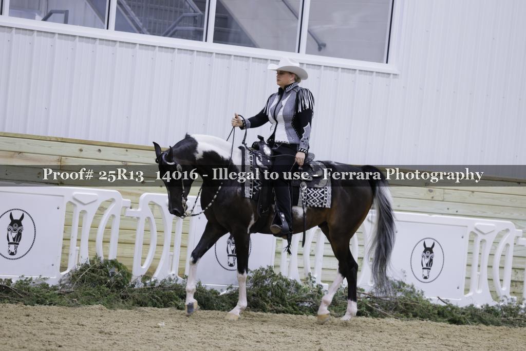 Proof 25R13_14016