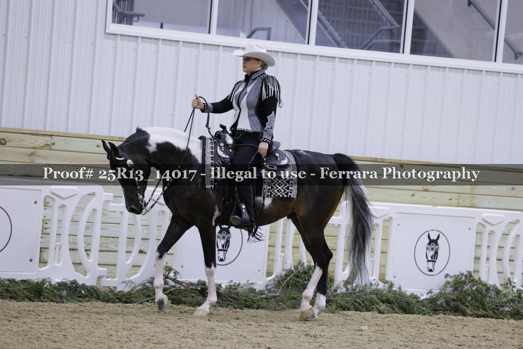 Proof 25R13_14017