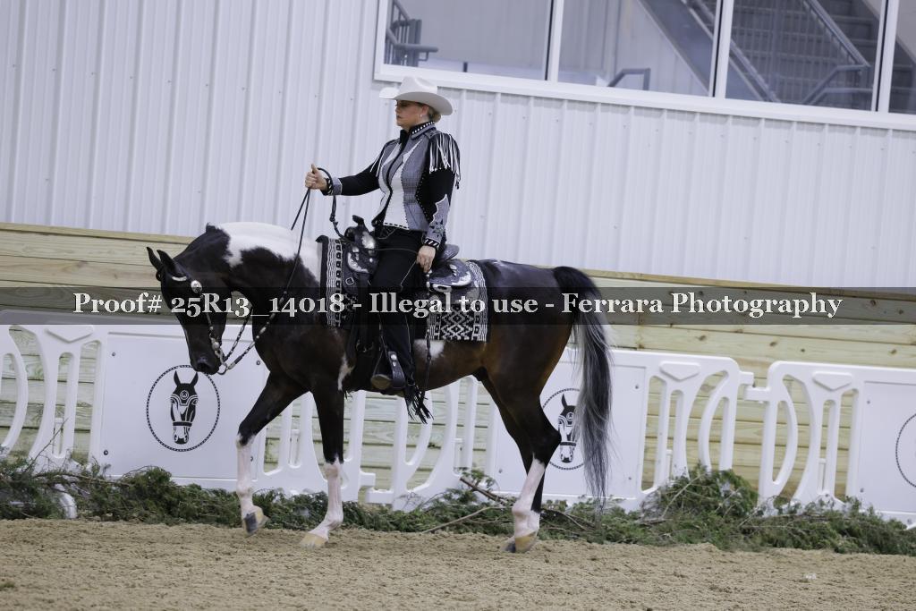 Proof 25R13_14018