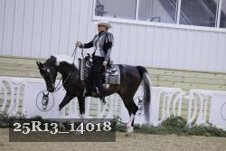 25R13_14018 proof
