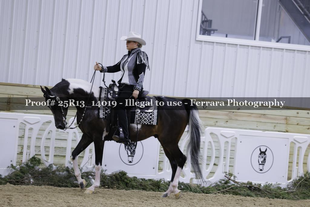 Proof 25R13_14019