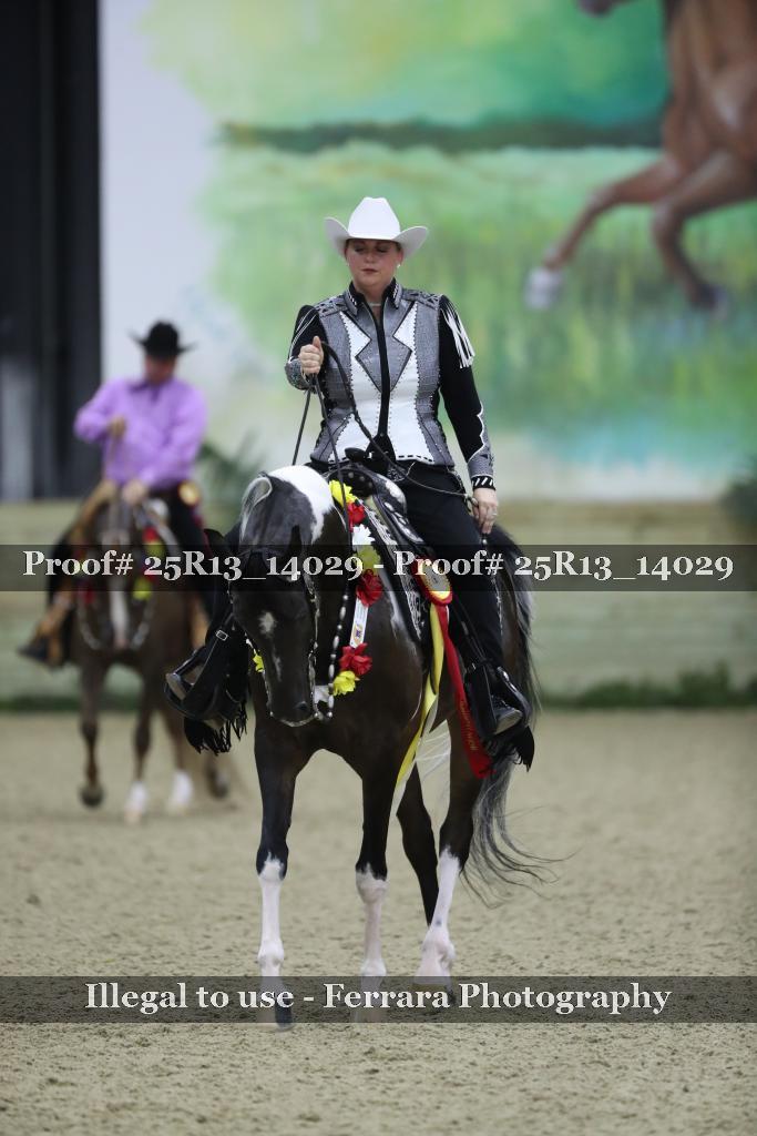 Proof 25R13_14029