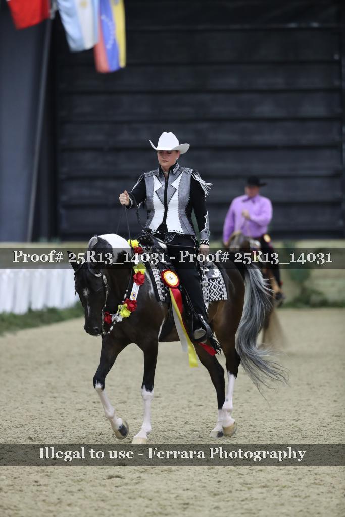 Proof 25R13_14031